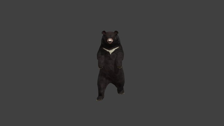 bear_upright_walking_v0005_17 3D Model
