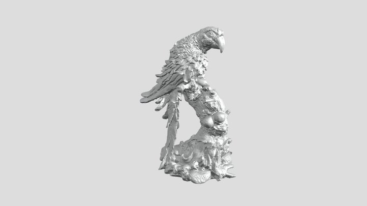 Parrot 3D Model