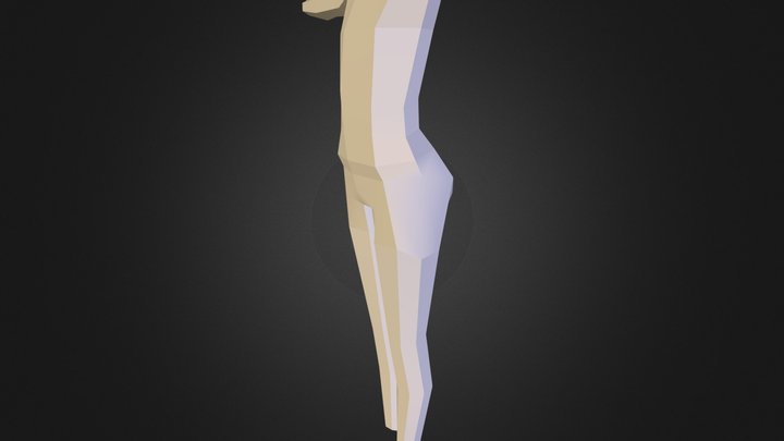 Basic Body 3D Model