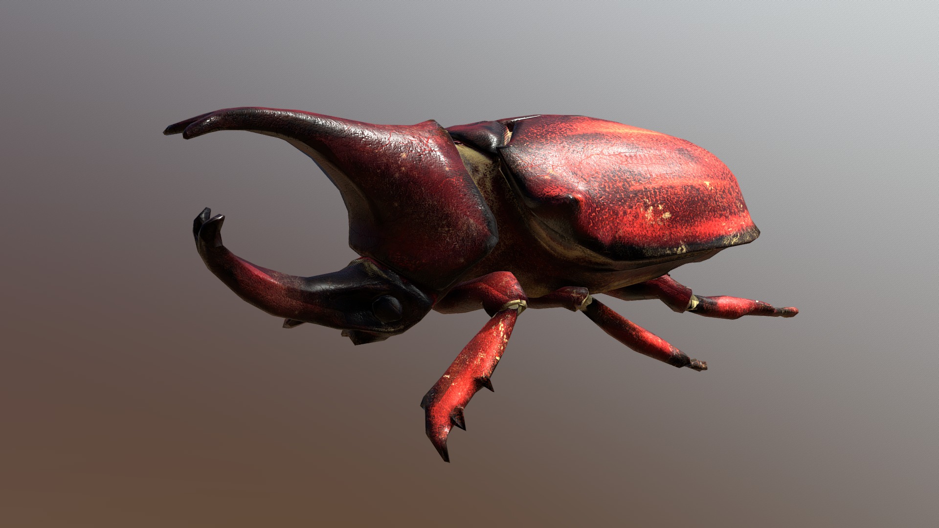 3D model A Rhino beetle - This is a 3D model of the A Rhino beetle. The 3D model is about a red and black crab.