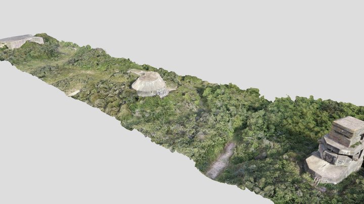 bunkers - batterie Waldam - France - Fort Vert 3D Model