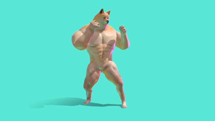Doge 3D Model