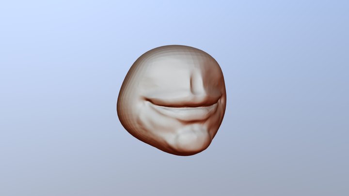 Mouth study 3D Model