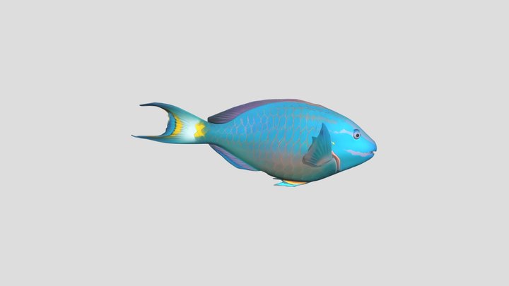 Parrot Fish Curacao