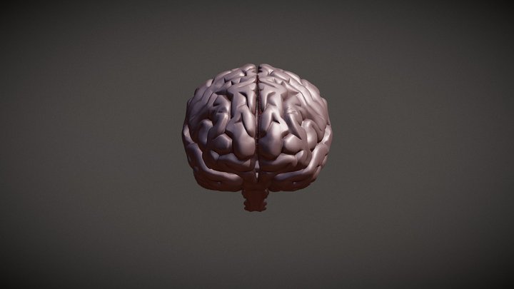 Brain Obj 3D Model
