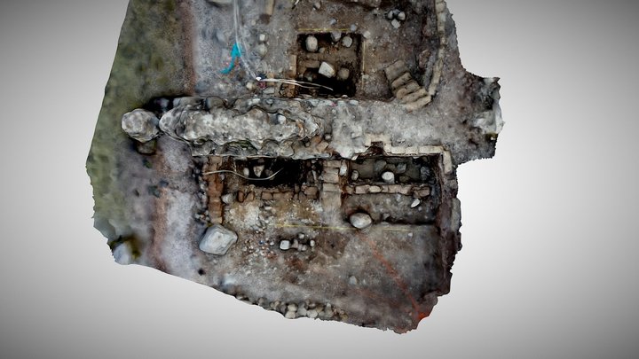 tiber 20 3D Model