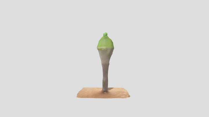 1 3D Model