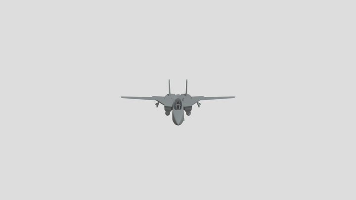 F-14 Tomcat 3D Model