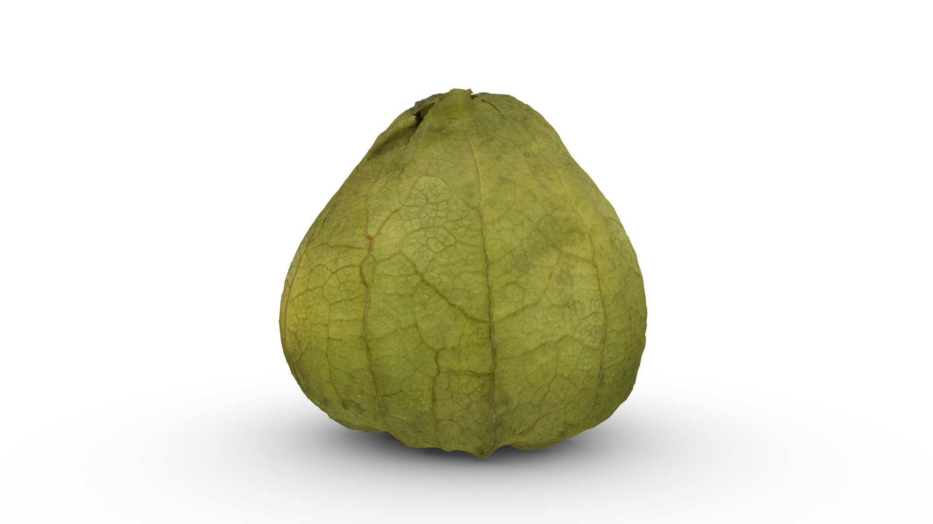 3D model Tomatillo - This is a 3D model of the Tomatillo. The 3D model is about a green watermelon on a white background.