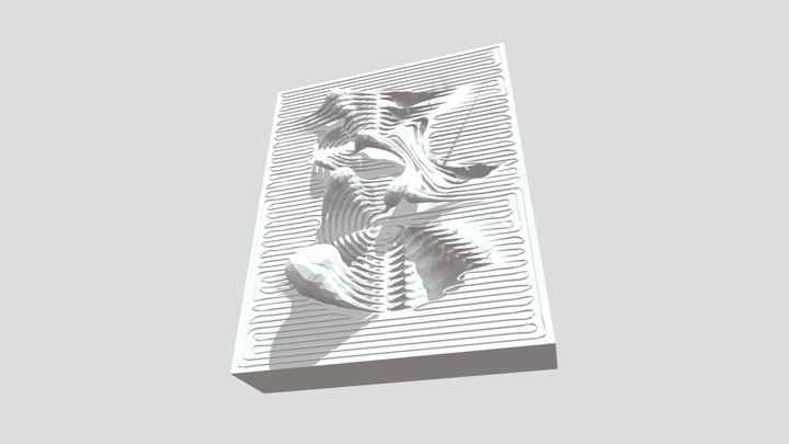 Relief_Sebastian_Weissteiner 3D Model