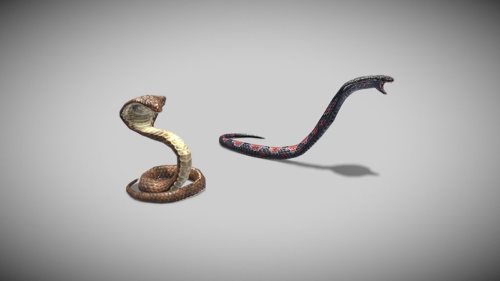 Snake attack Animations (Multiple)