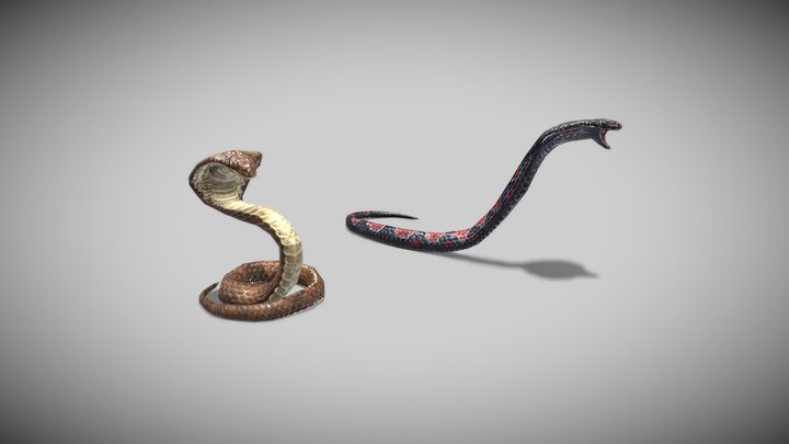 3d painting snake