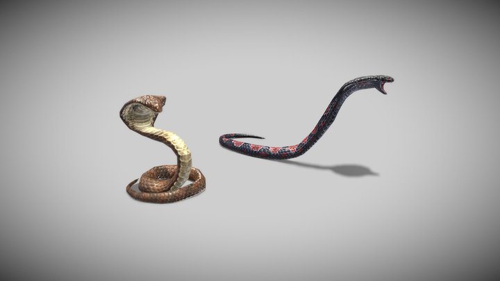 Snake 3D Model