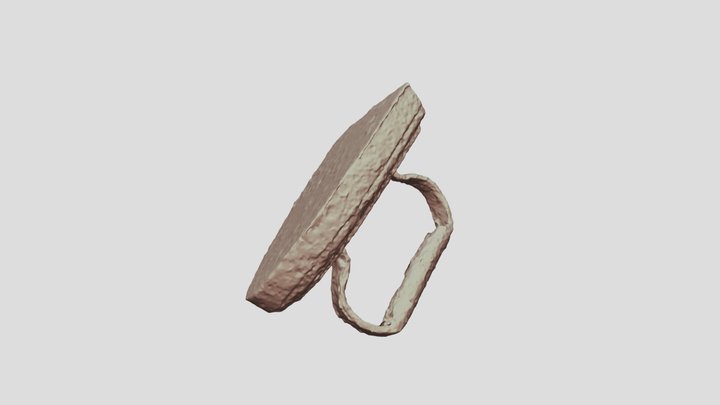 Seneca Boston-Florence Higginbotham House Iron 3D Model