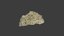 Diploastrea heliopora - Download Free 3D model by The Smithsonian Institution (@Smithsonian ...