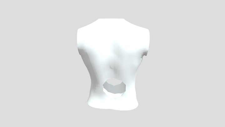 final Body cut 3D Model