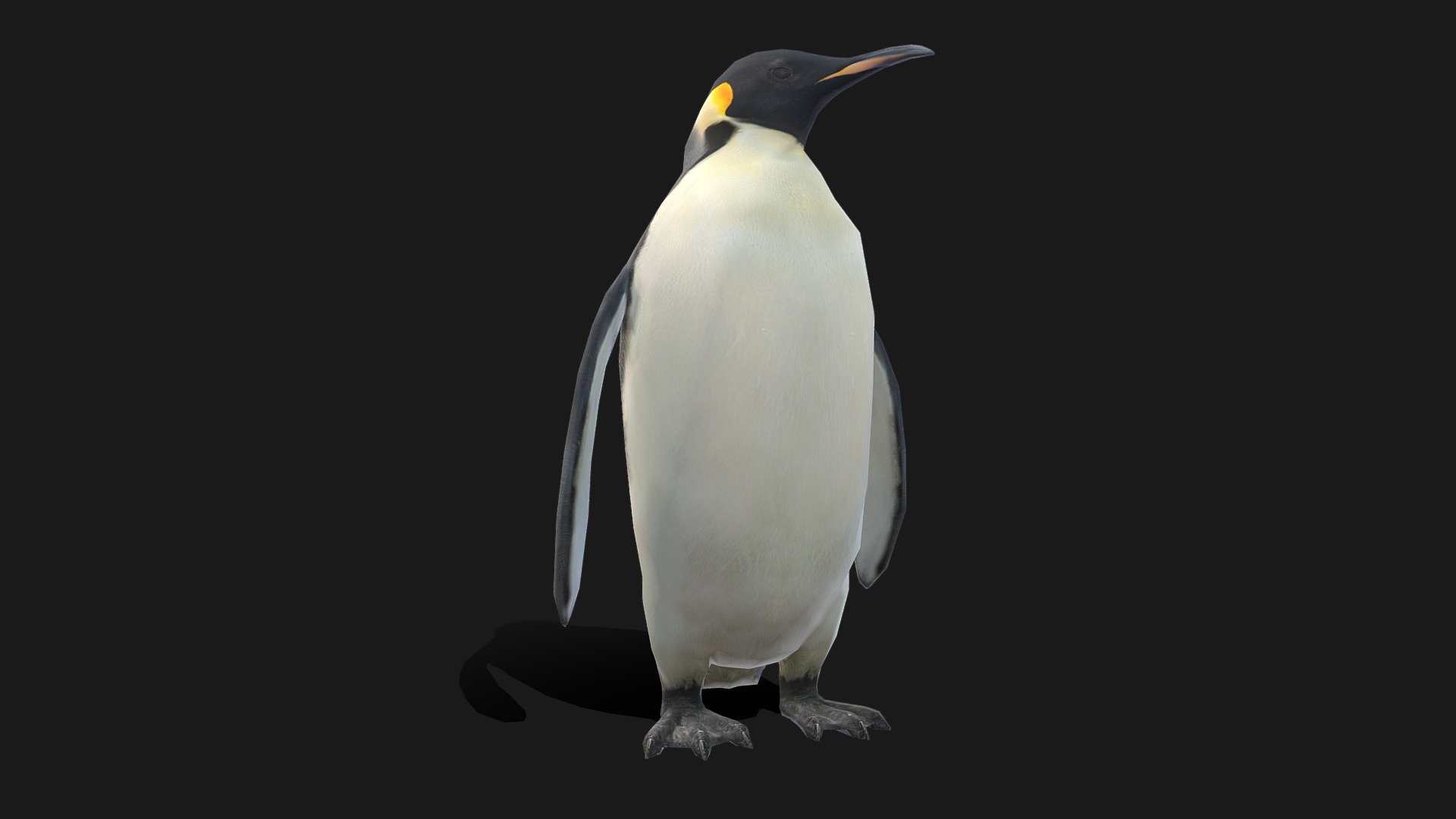 Emperor Penguin Low Poly Animated - Buy Royalty Free 3D model by 3D-IDI ...