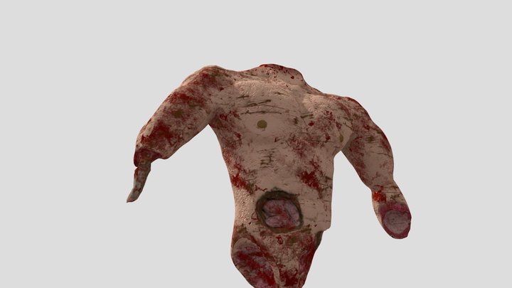 Body2 3D Model