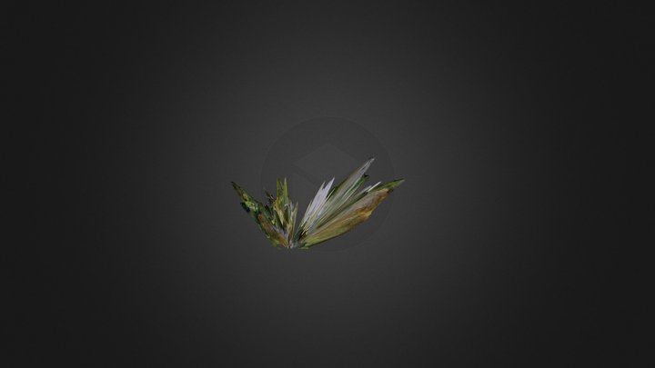 Lens Blur model 3D Model