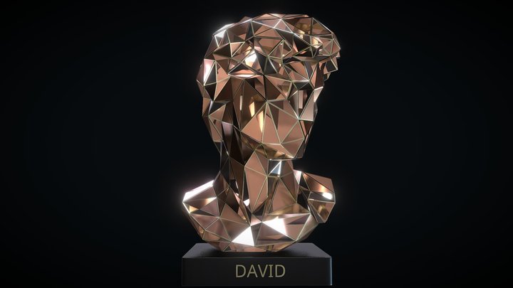 DAVID - omsx 3D Model