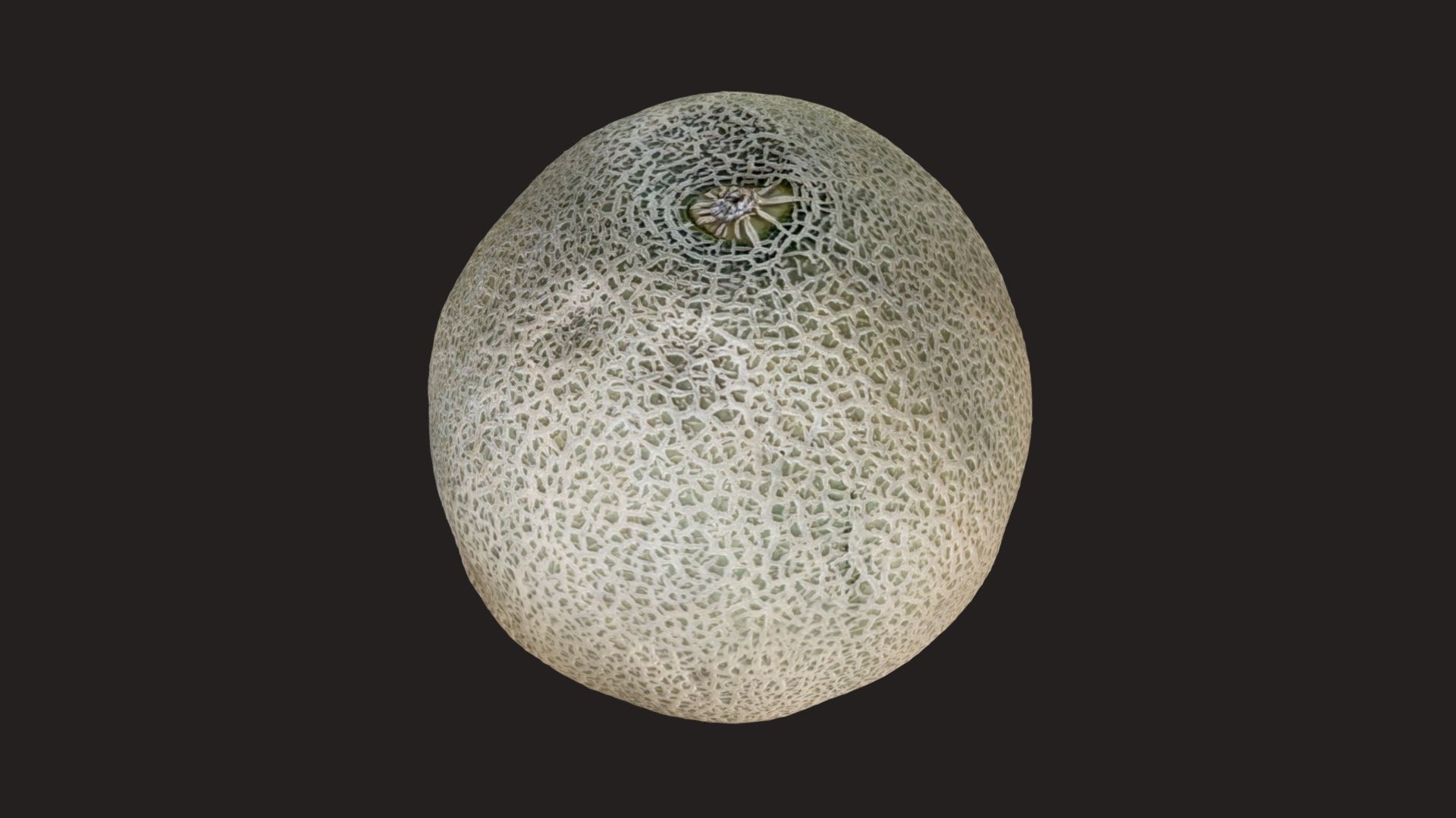 Day 244: Musk Melon