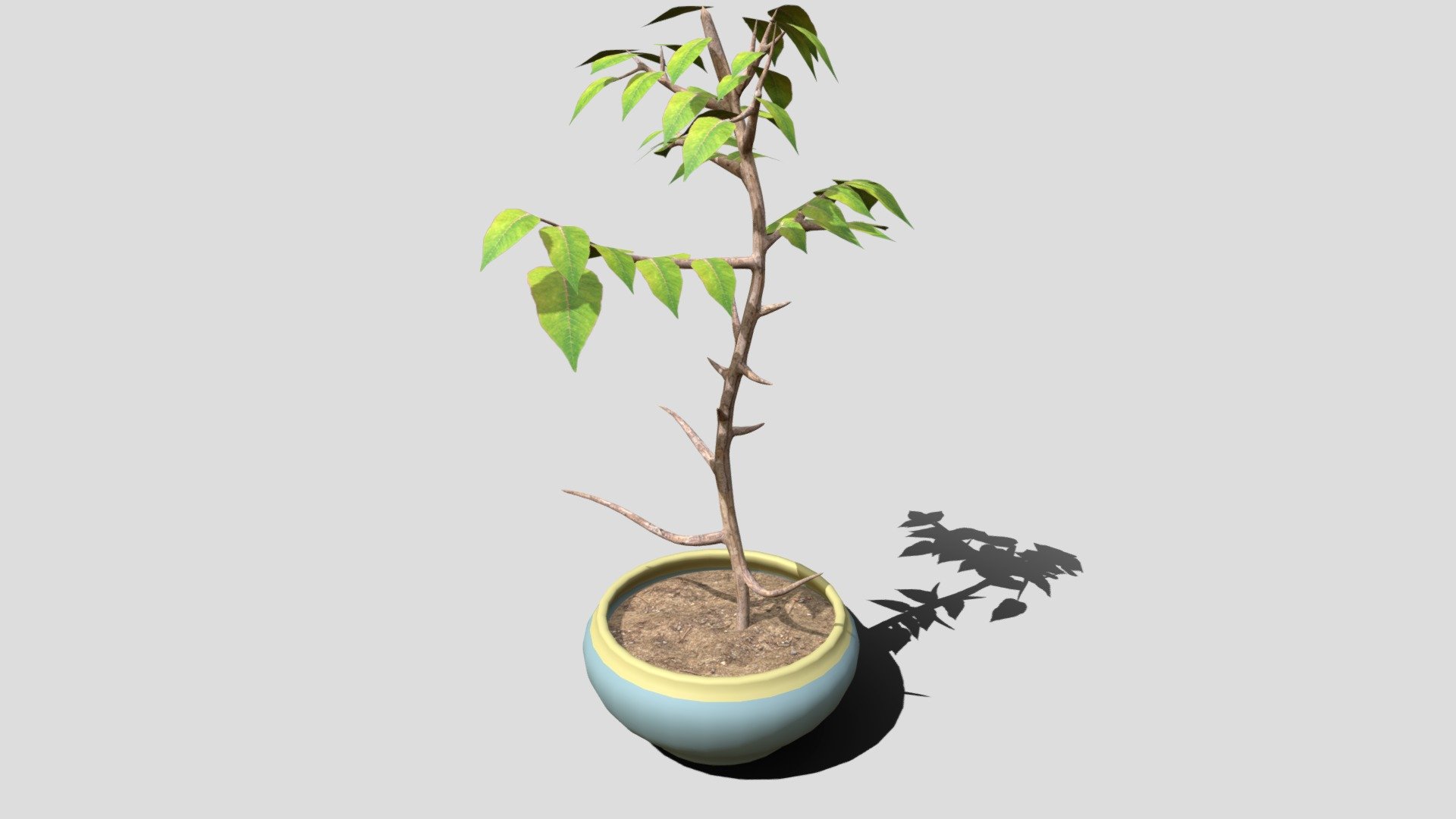 Potted Plant - Download Free 3D Model By KeanKane [83ce6b6] - Sketchfab