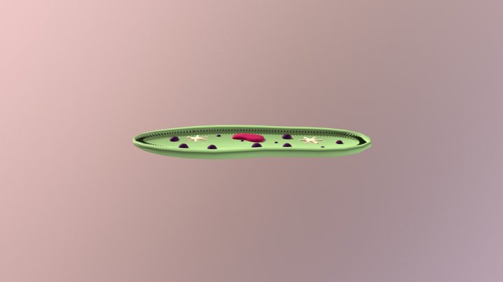 Protozoo model 3D Model