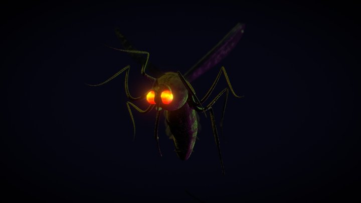 Mosquito 3D Model