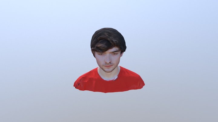 Bust 3D Model