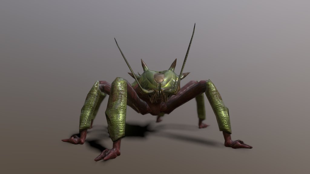 Forest Monster Beetle