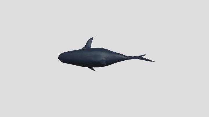 Mesh_3 3D Model