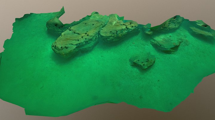 Morella Reserve 3D Model