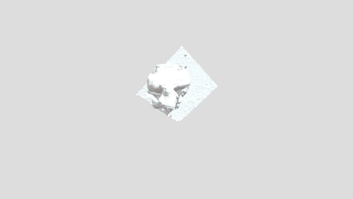 Model 3D Model