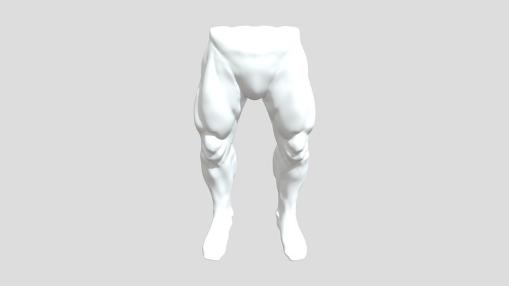 Lower_HalfLimb 3D Model