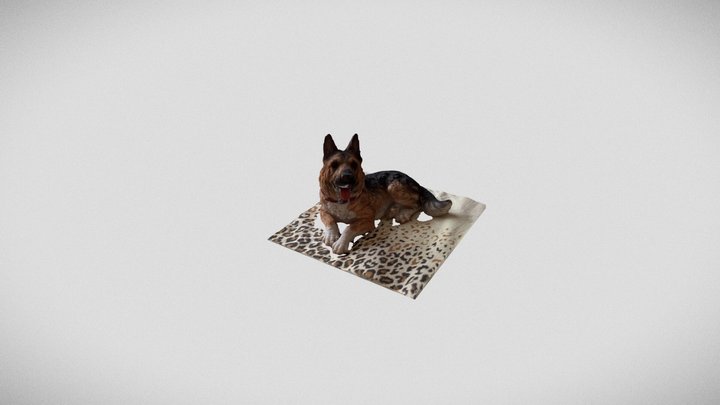 Scanned Shepard Dog 3D Model