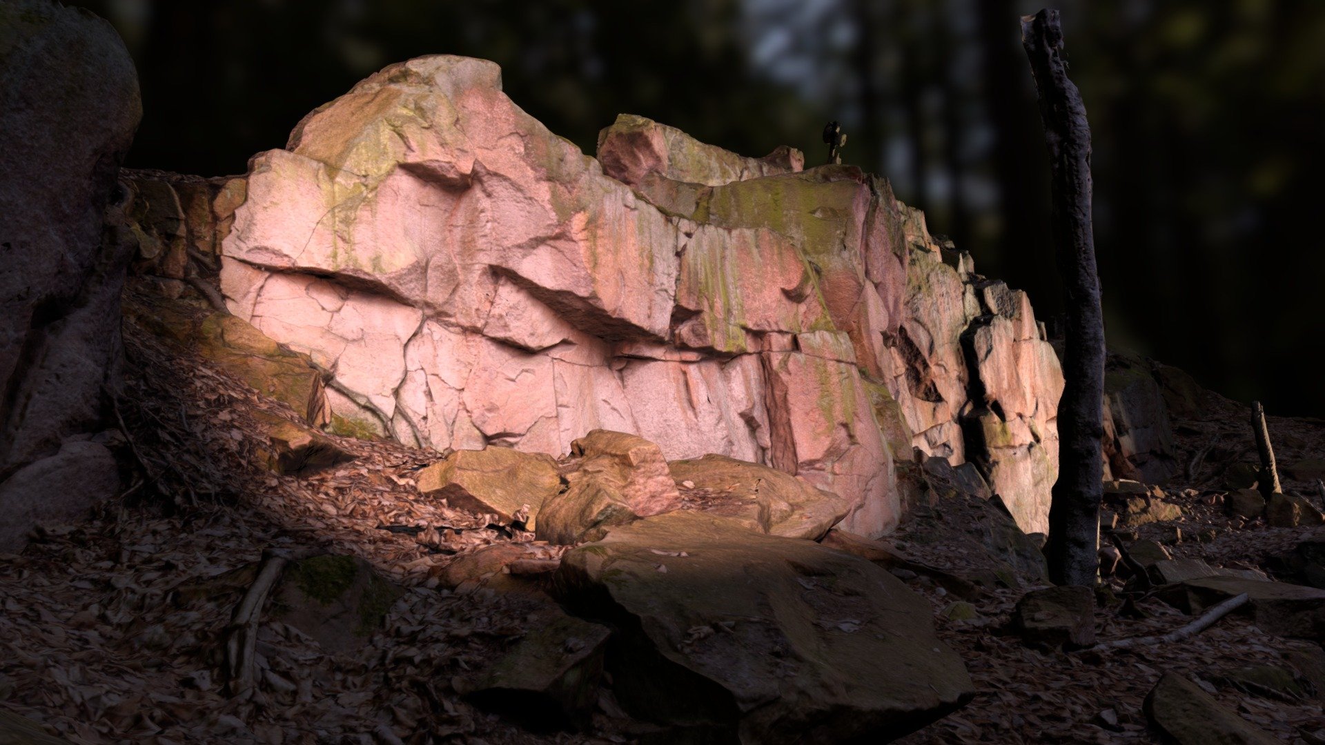 Rorphyr rock face Rochlitzer Berg (free)