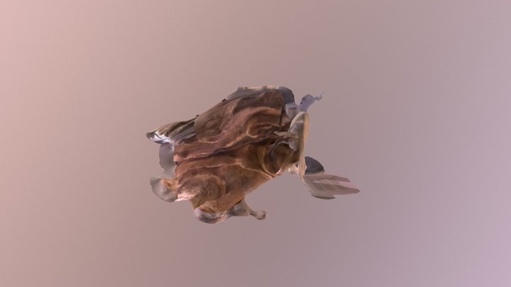 Fragment inférieur de statue 3D Model