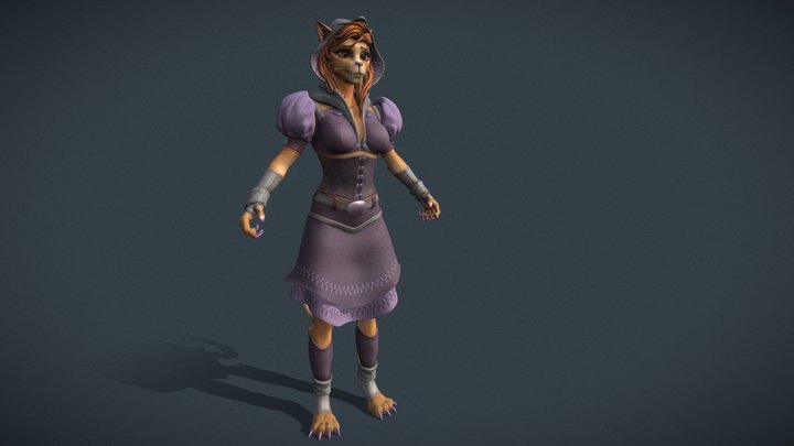 Roxi the Tabaxi Witch 3D Model