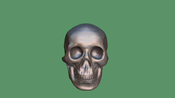 Skull