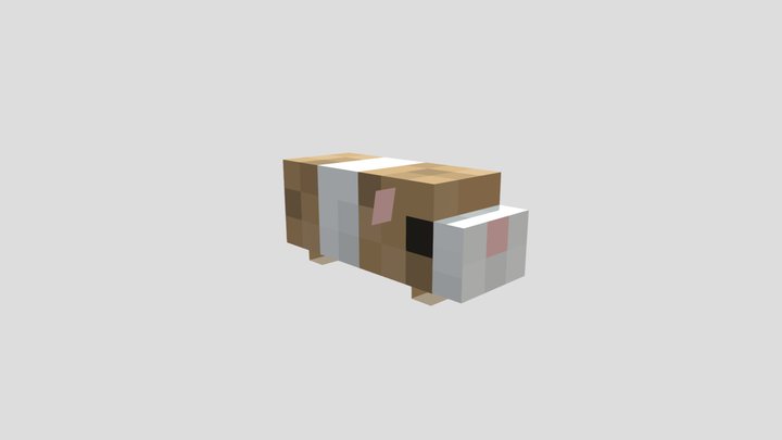 Guinea Pig 3D Model