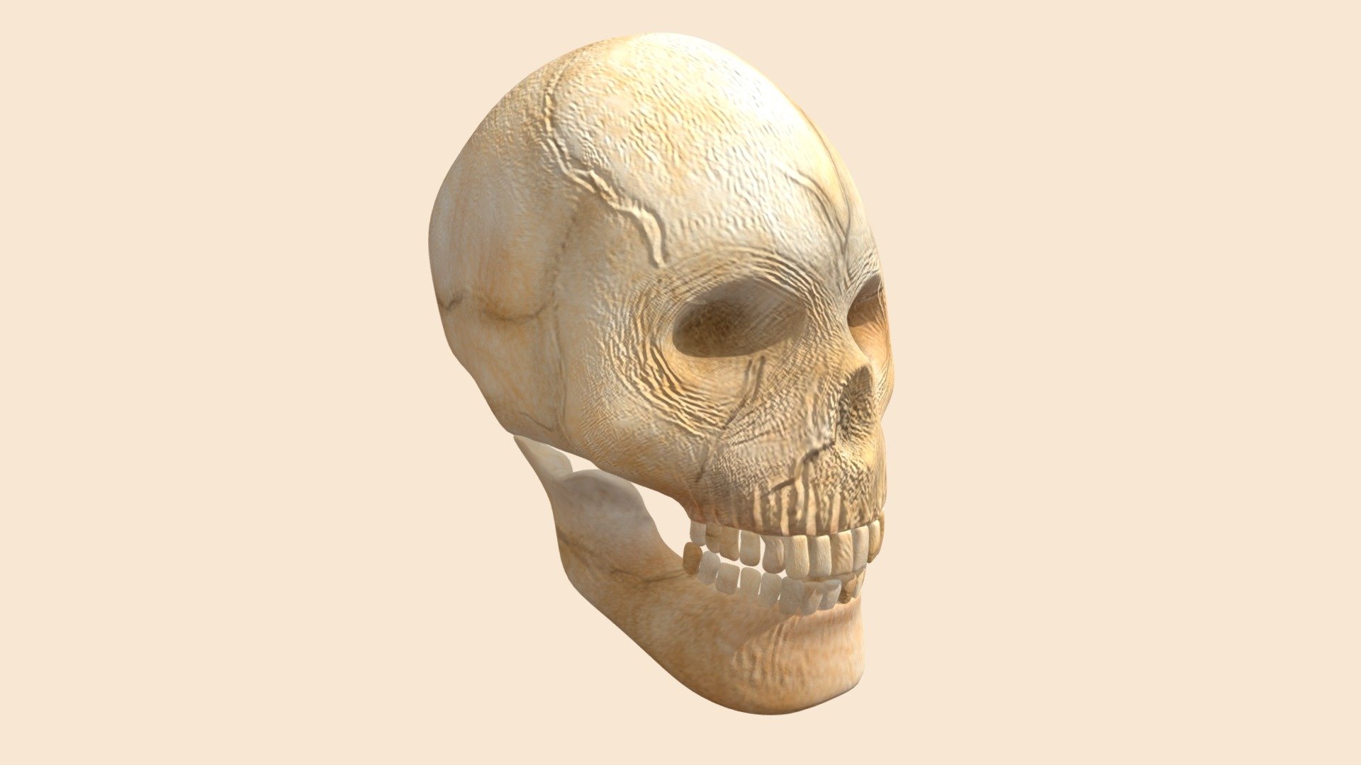 Skull Head