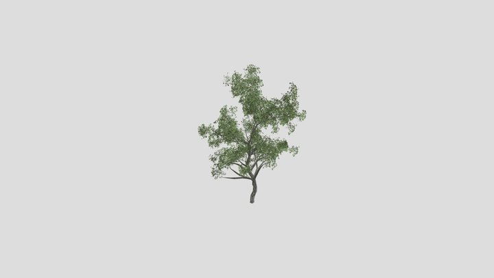 Treeonewithleaf 3D Model