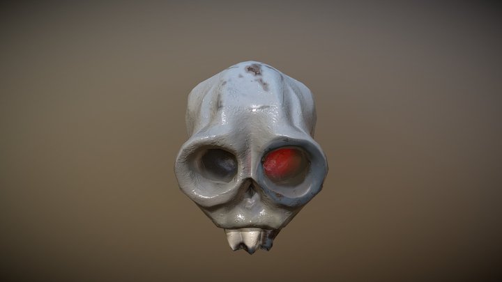 Skull 2020-2021 3D Model