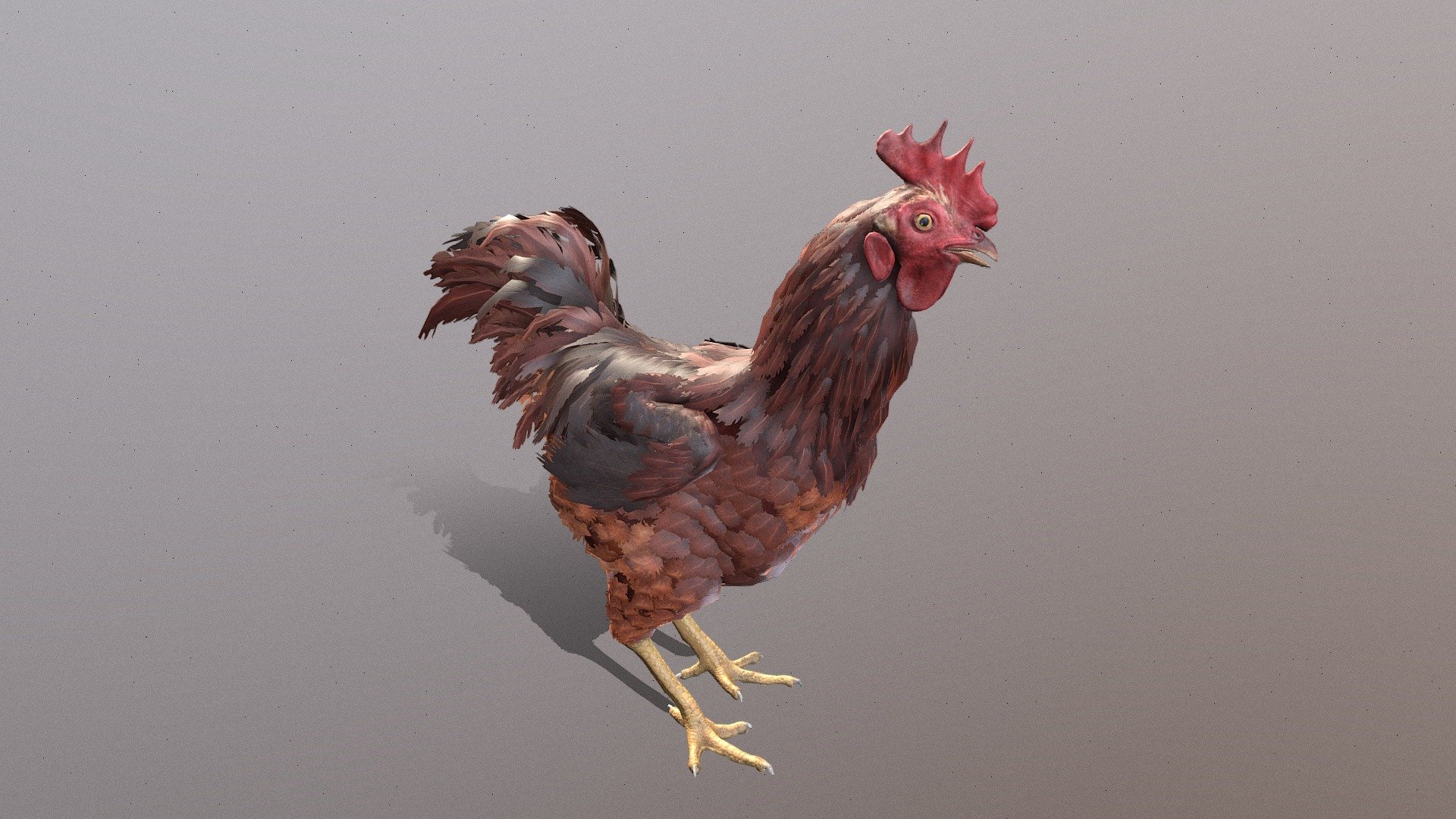 Chicken Animated - Buy Royalty Free 3d Model By Aaokiji [83f00fb 