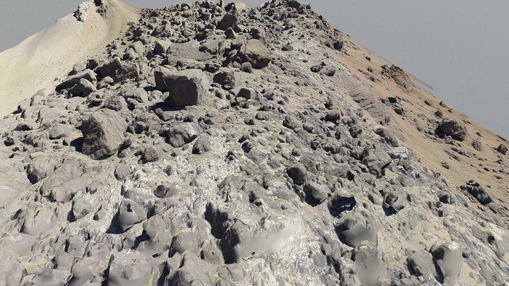 Rock-avalanche deposits, Las Cuevas, Argentina 3D Model