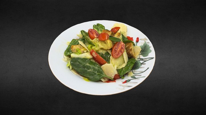 Salad P. 3D Model