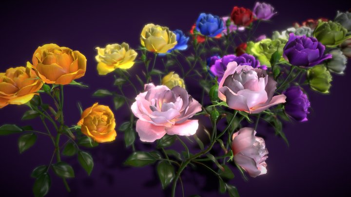 Flower Rose Bungaria 3D Model