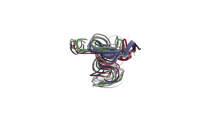 Ara 3D Model