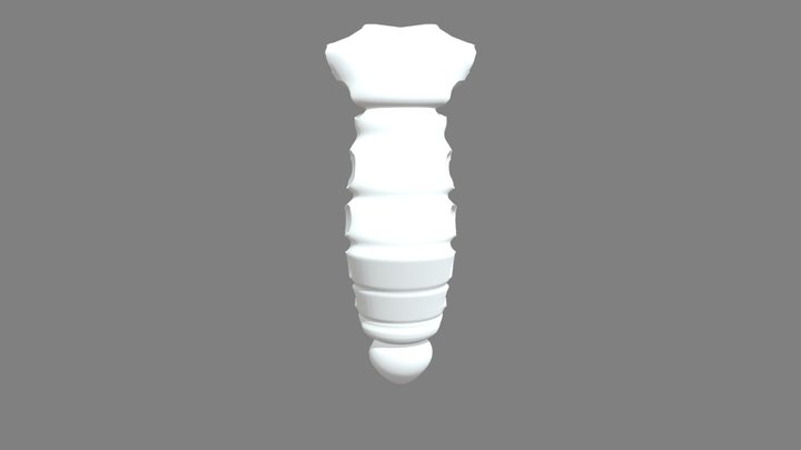 Sternum 3D Model