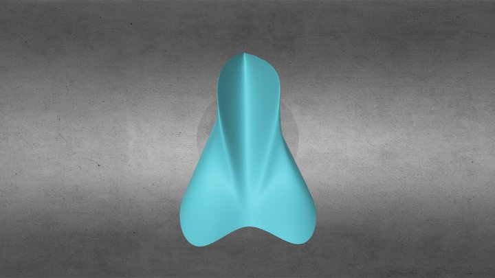 Final 3D Model